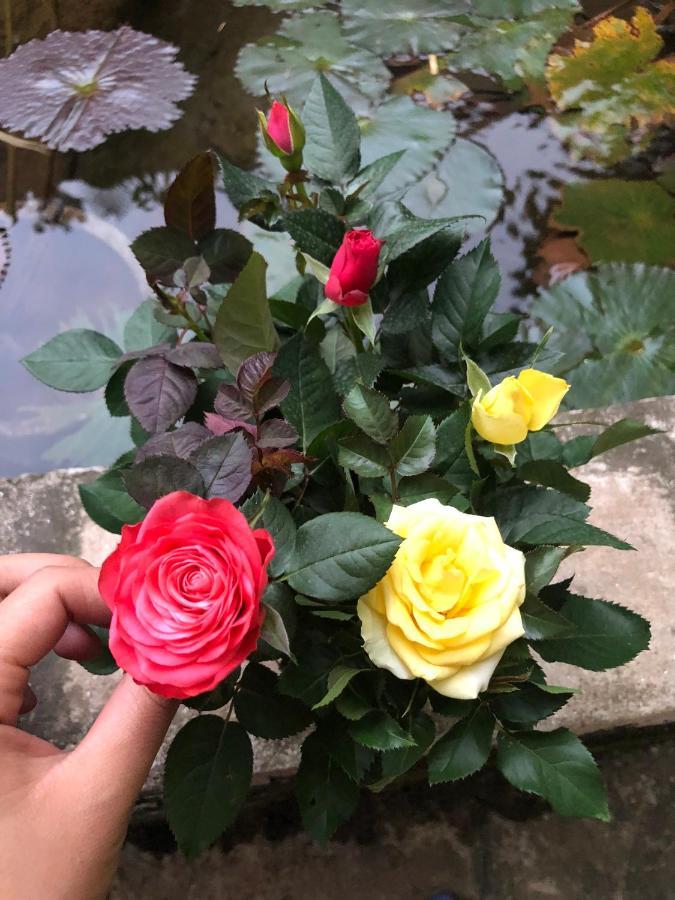 Son Thuy Homestay Hà Giang Zewnętrze zdjęcie